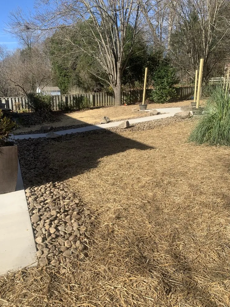 Reliable yard cleanup service near you across Charlotte, NC - Diamond Landscape & Lawn Maintenance