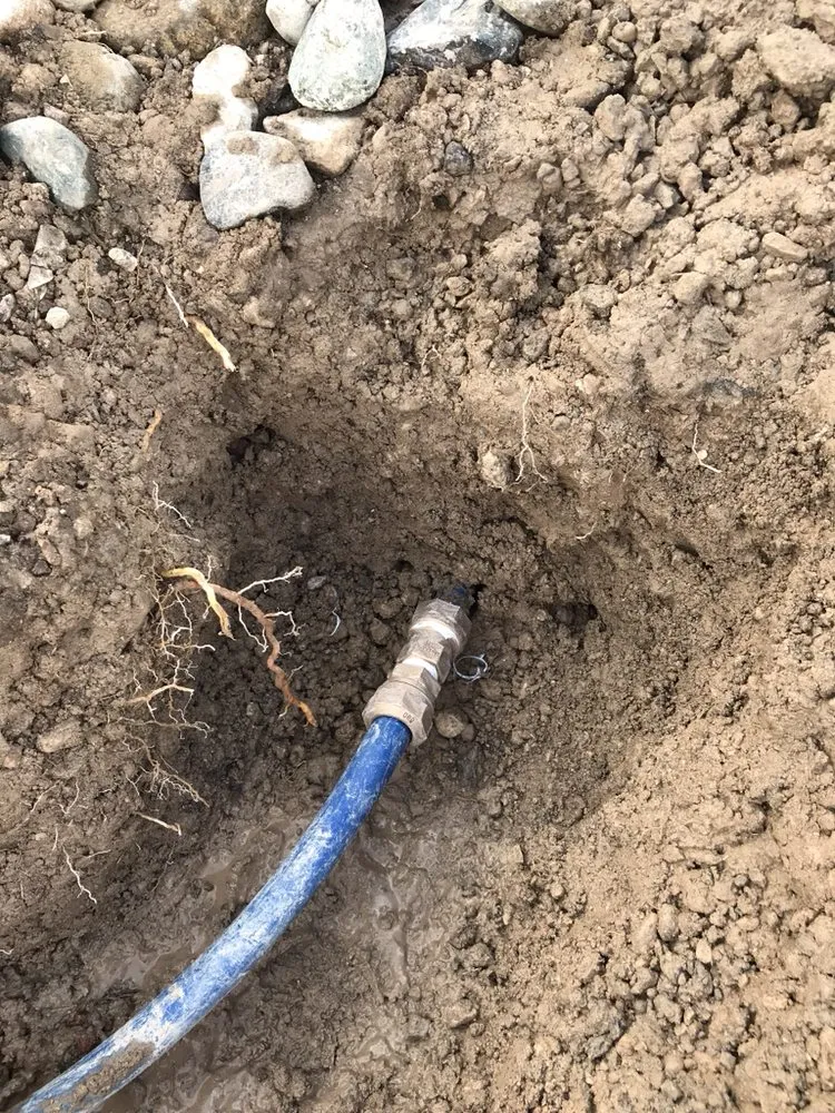 Trusted yard maintenance in Las Vegas, NV by Diamond Landscape & Sprinkler Repair