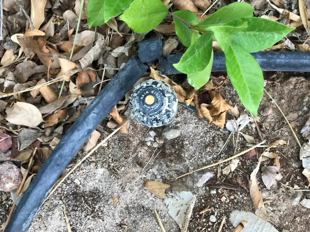 Expert landscaping services for outdoor upgrades in Las Vegas, NV by Diamond Landscape & Sprinkler Repair