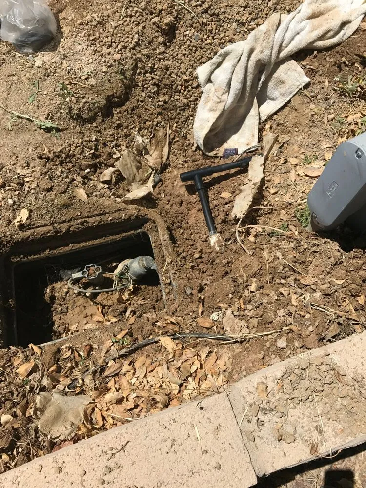 Reliable yard maintenance for homes in Las Vegas, NV by Diamond Landscape & Sprinkler Repair