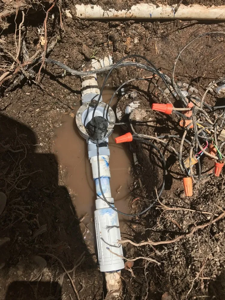 Expert garden landscaping for year-round maintenance in Las Vegas, NV by Diamond Landscape & Sprinkler Repair