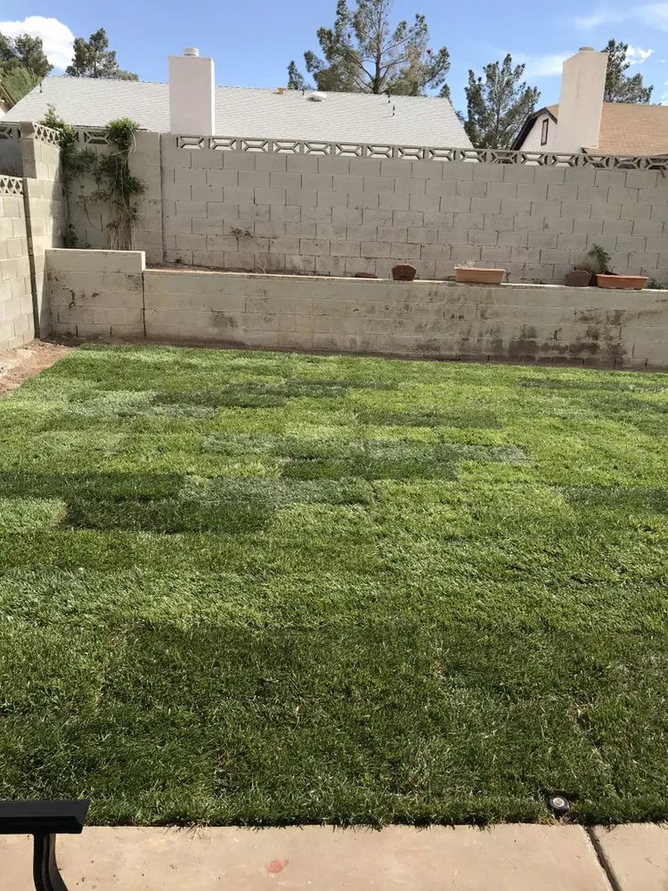 Custom residential landscaping experts serving Las Vegas, NV - Diamond Landscape & Sprinkler Repair