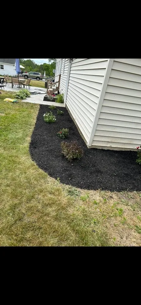 Local yard cleanup service experts serving Albany, NY - Diamond Landscape