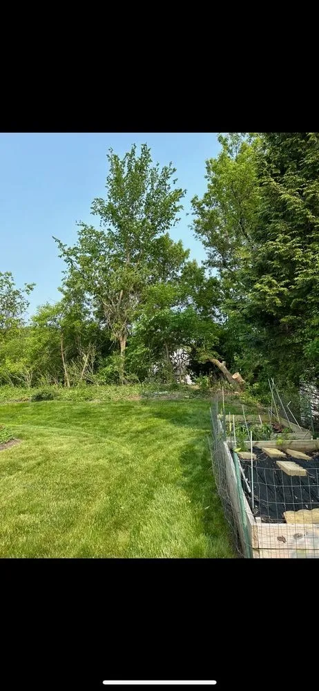 Trusted landscape installation for beautiful yards across Albany, NY - Diamond Landscape