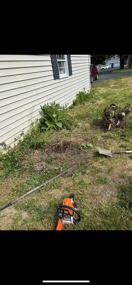 Local landscape design in Albany, NY by Diamond Landscape