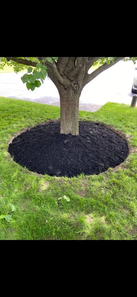 Reliable landscaping services for residential properties in Albany, NY by Diamond Landscape