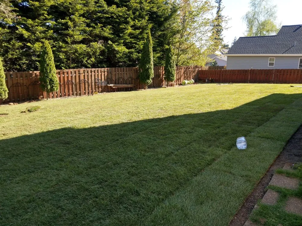 Professional landscape installation for year-round maintenance across Sherwood, OR - Diamond Landscape Group