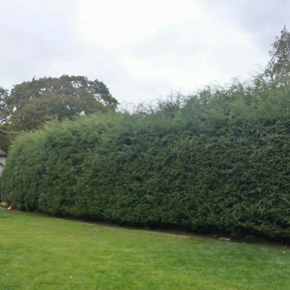 Reliable garden landscaping in Sheffield, PA - Diamond Landscape Maintenance
