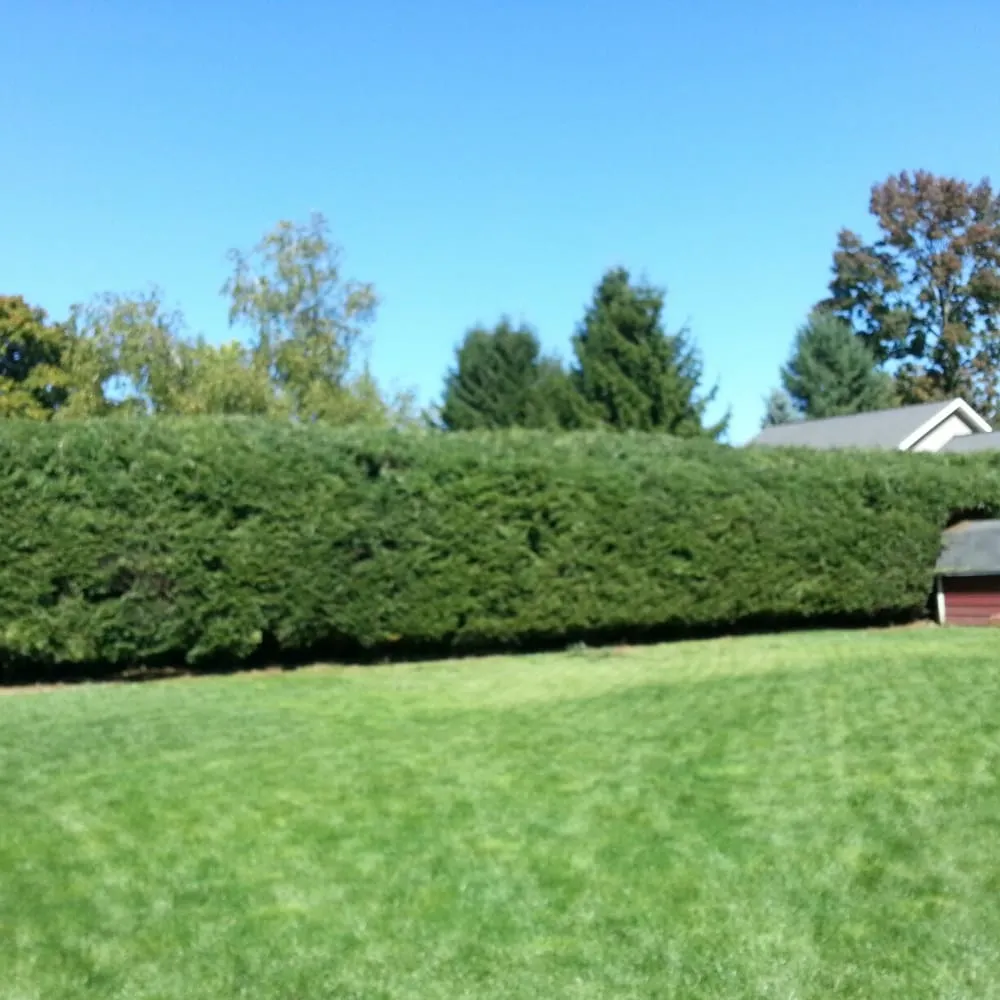 Trusted residential landscaping in Sheffield, PA by Diamond Landscape Maintenance