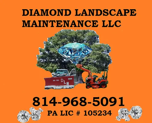 Diamond Landscape Maintenance