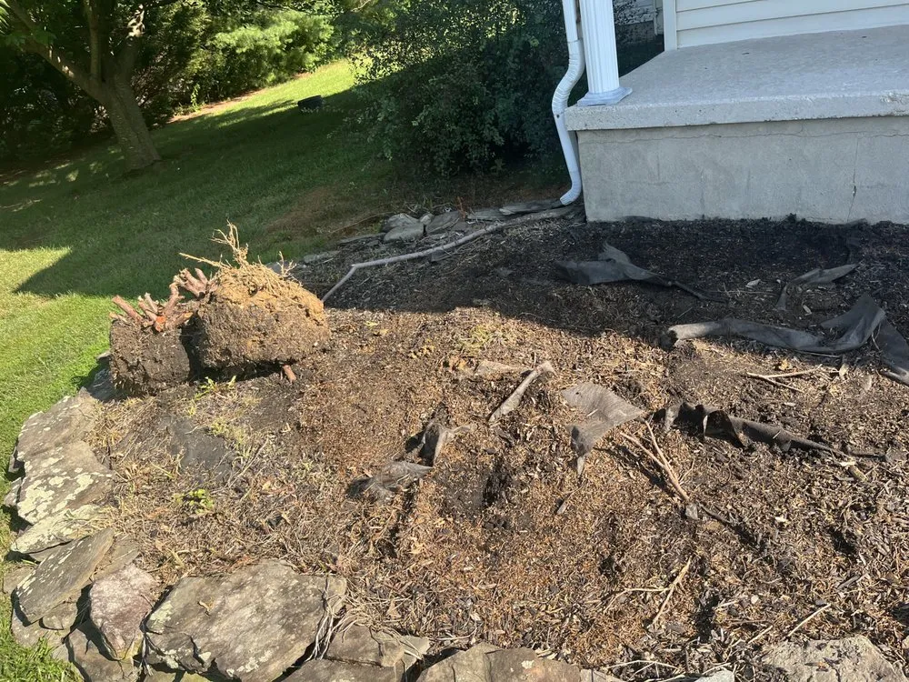 Top-rated yard maintenance experts serving Dover, DE - Diamond Landscaping & Tree Services