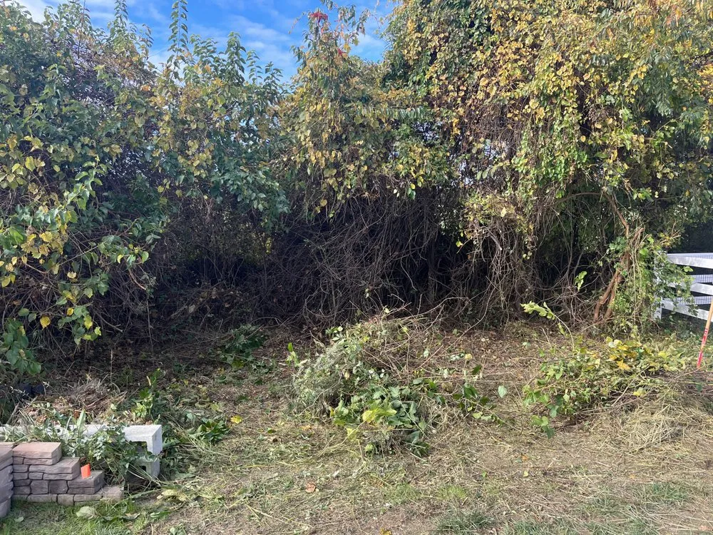 Custom landscaping services for residential properties in Dover, DE by Diamond Landscaping & Tree Services