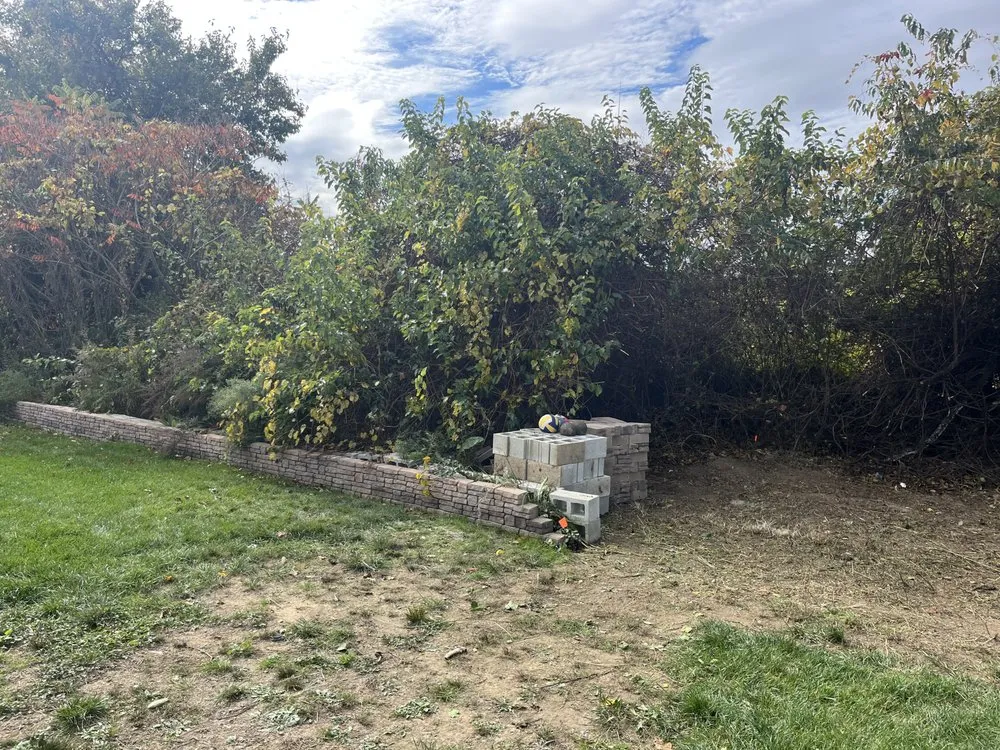 Local yard cleanup service for residential properties across Dover, DE - Diamond Landscaping & Tree Services