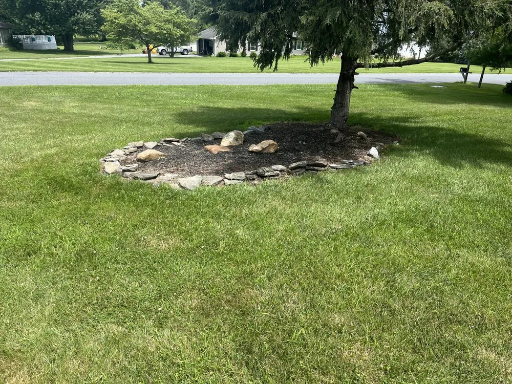 Reliable yard maintenance experts serving Dover, DE - Diamond Landscaping & Tree Services