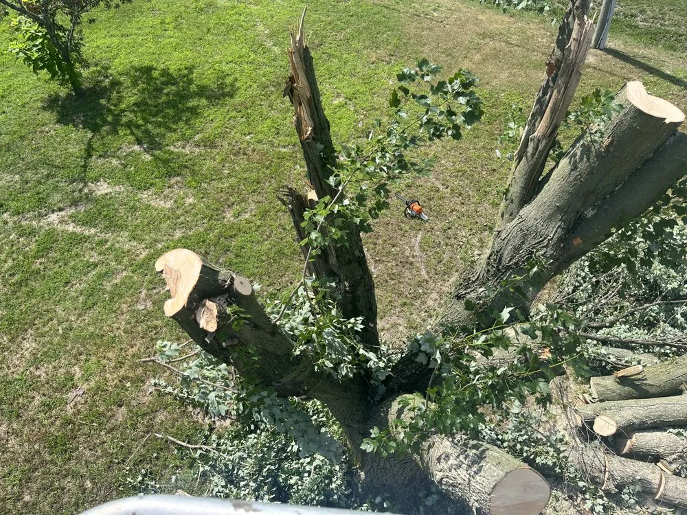 Expert residential landscaping in Dover, DE - Diamond Landscaping & Tree Services