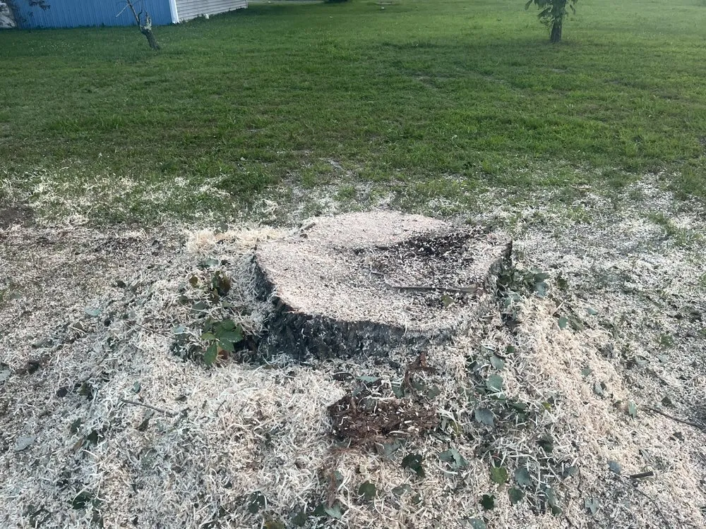 Top-rated landscape design for homes across Dover, DE - Diamond Landscaping & Tree Services