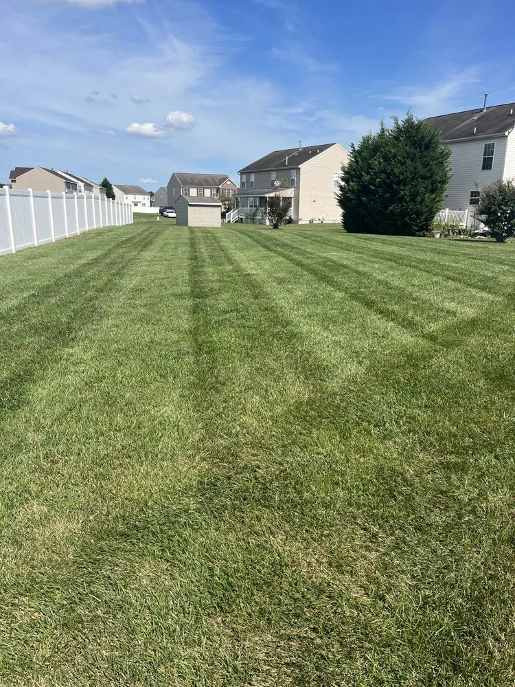Expert lawn care service in Dover, DE by Diamond Landscaping & Tree Services