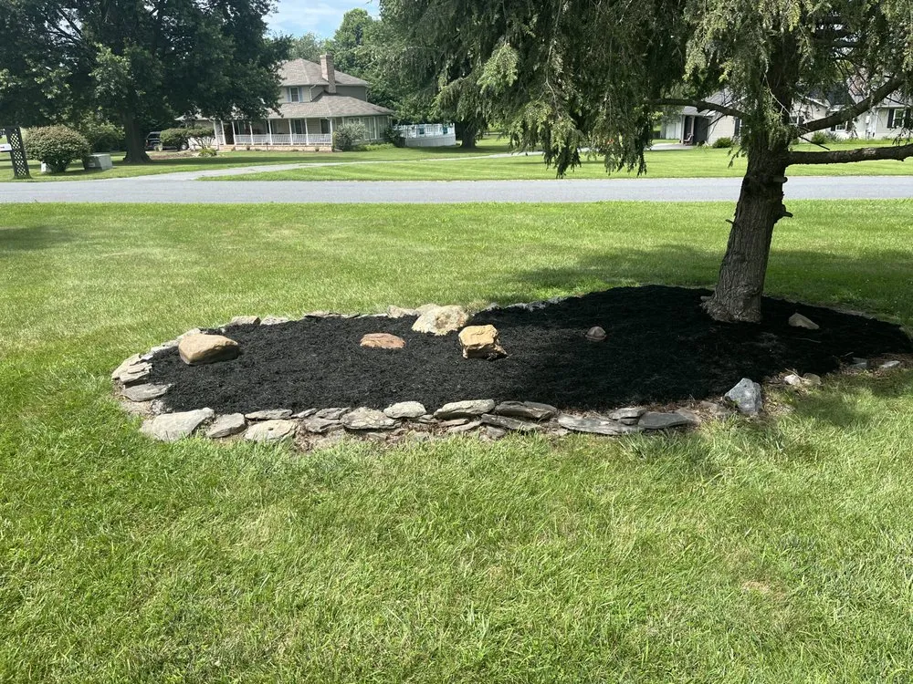Professional landscape installation in Dover, DE - Diamond Landscaping & Tree Services