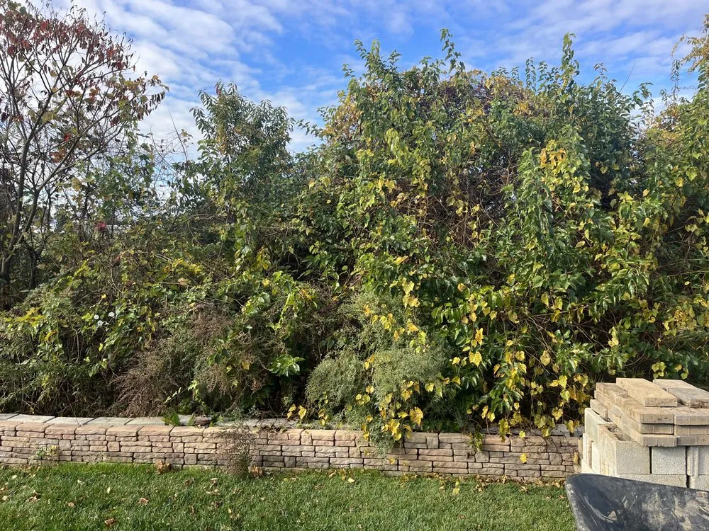 Top-rated landscape installation for beautiful yards across Dover, DE - Diamond Landscaping & Tree Services