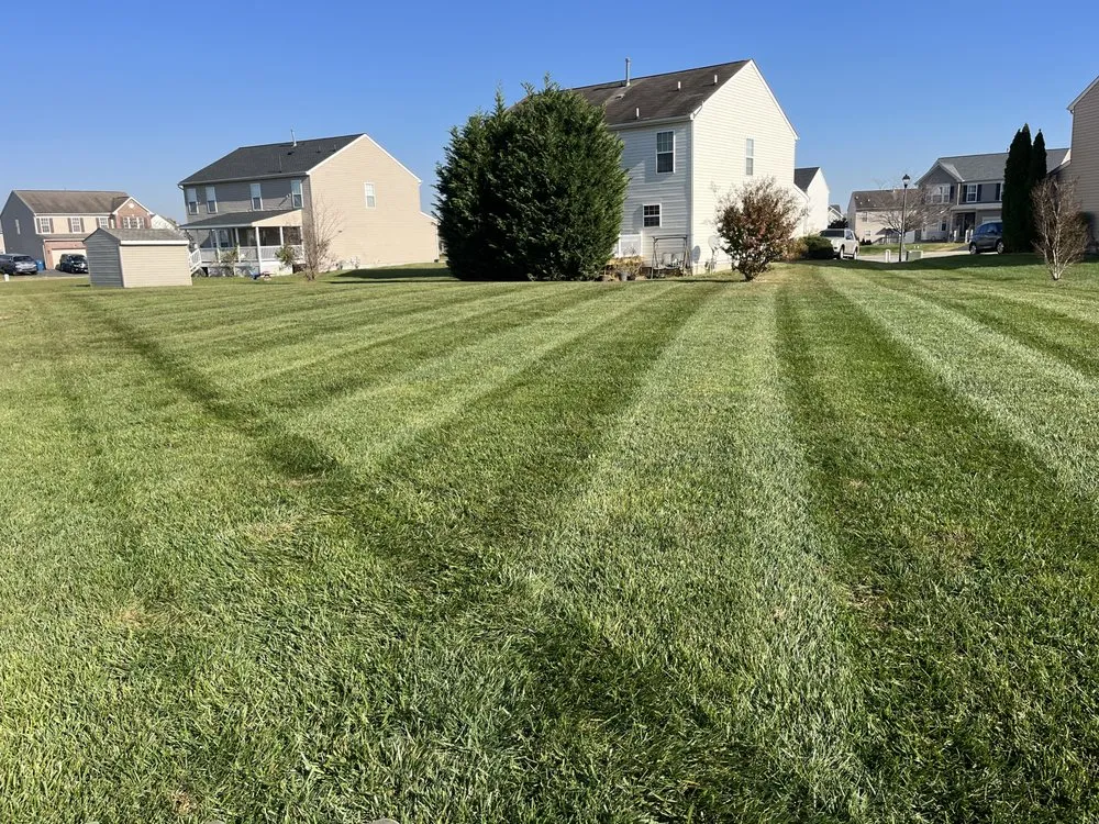Local lawn mowing service near you across Dover, DE - Diamond Landscaping & Tree Services