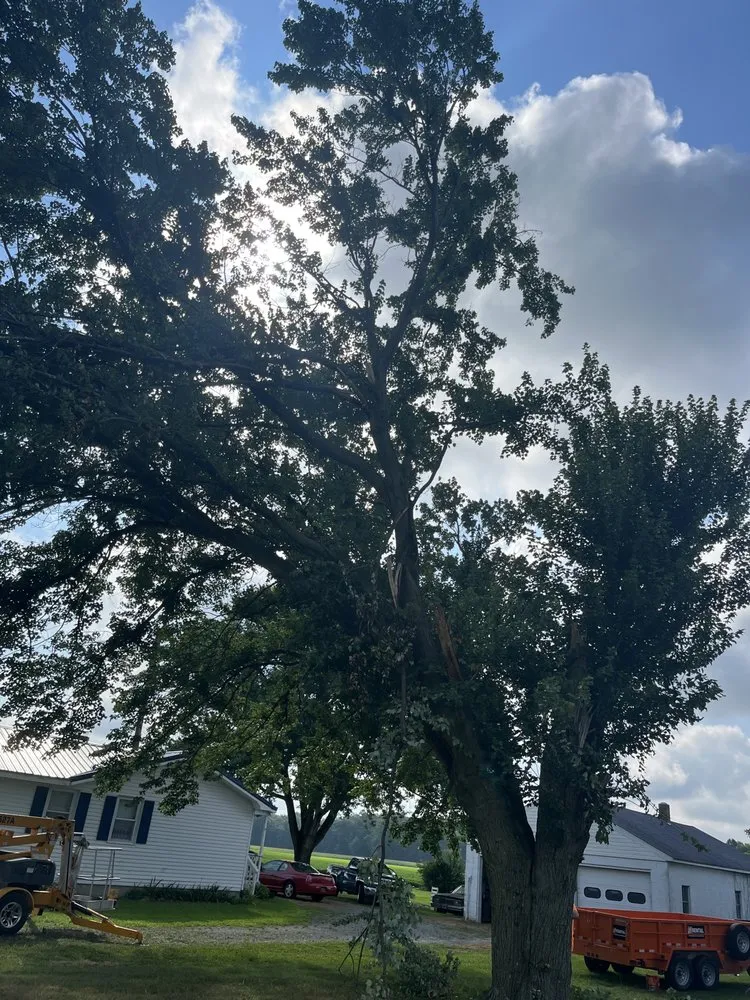 Professional landscaping services for beautiful yards in Dover, DE by Diamond Landscaping & Tree Services