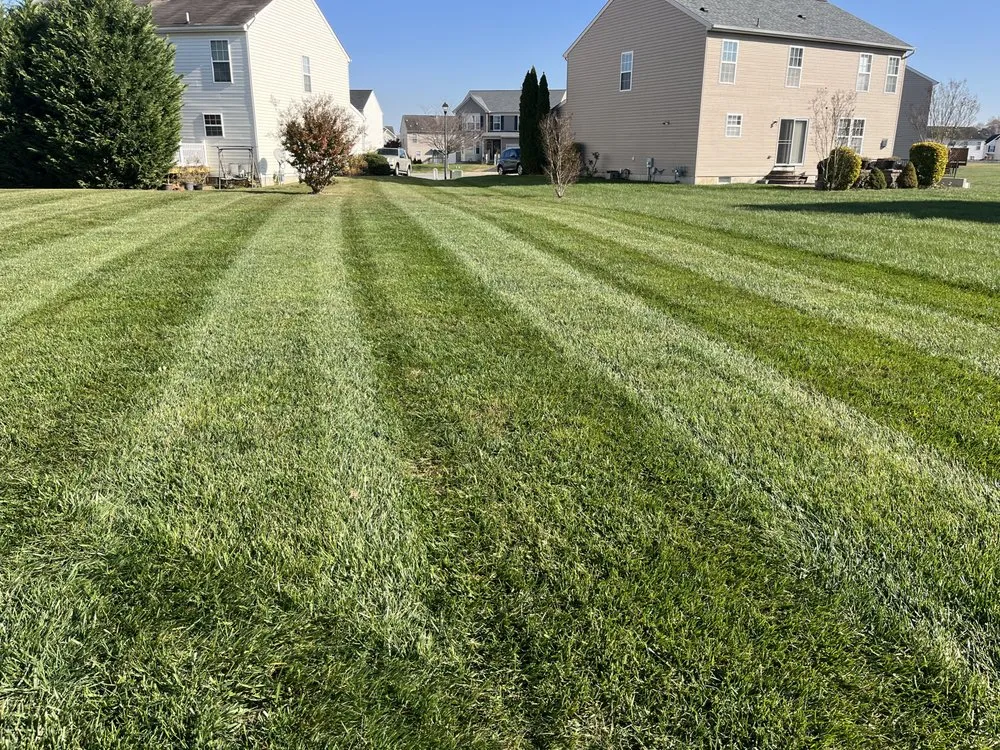 Affordable yard cleanup service in Dover, DE - Diamond Landscaping & Tree Services