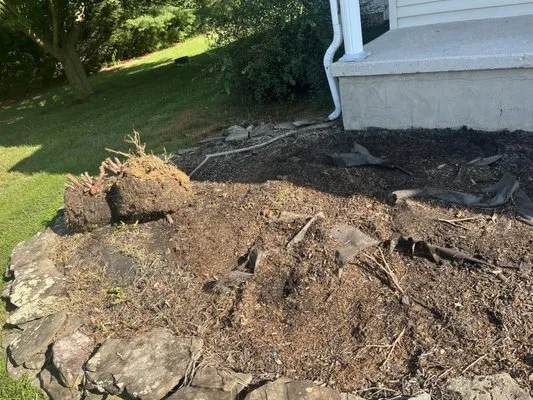 Diamond Landscaping & Tree Services Logo