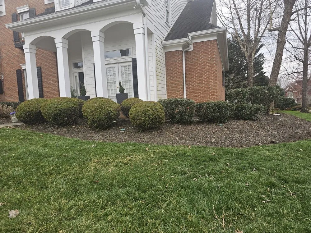 Affordable landscape installation with custom design in Knoxville, TN by Diamond Landscaping