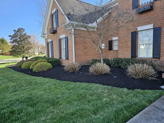 Diamond Landscaping Logo