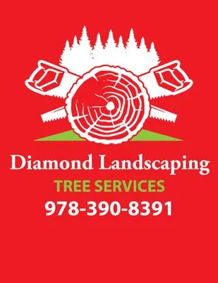 Diamond Landscaping Logo
