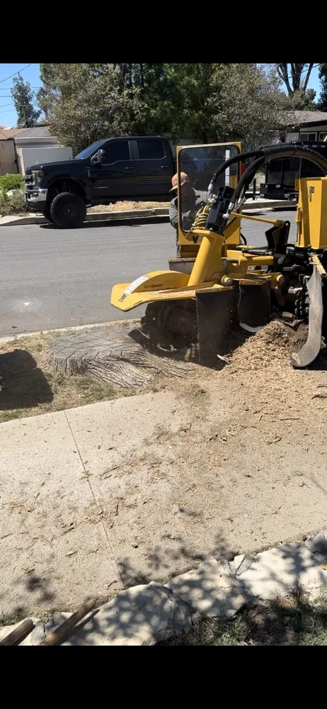 Professional yard cleanup service experts serving Palmdale, CA - Diamond Landscaping