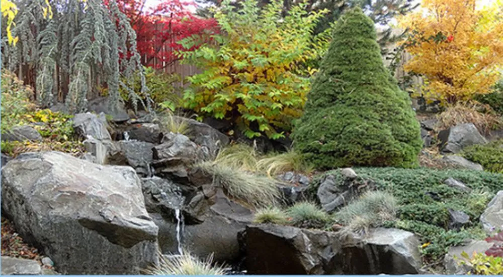 Trusted residential landscaping for year-round maintenance across Pasco, WA - Diamond Landscaping
