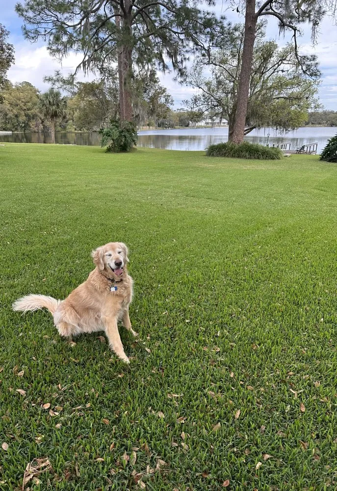 Local landscape design in Sanford, FL - Diamond Landscaping