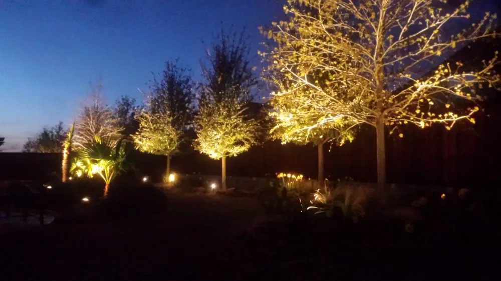 Professional landscaping services for year-round maintenance in Spring City, PA by Diamond Lawn & Landscaping