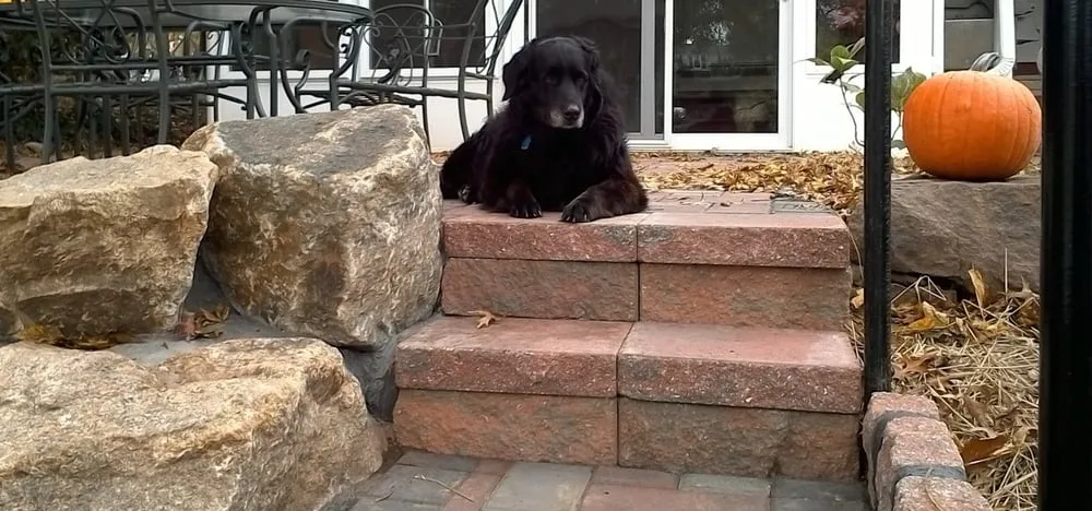 Trusted yard cleanup service in Spring City, PA by Diamond Lawn & Landscaping