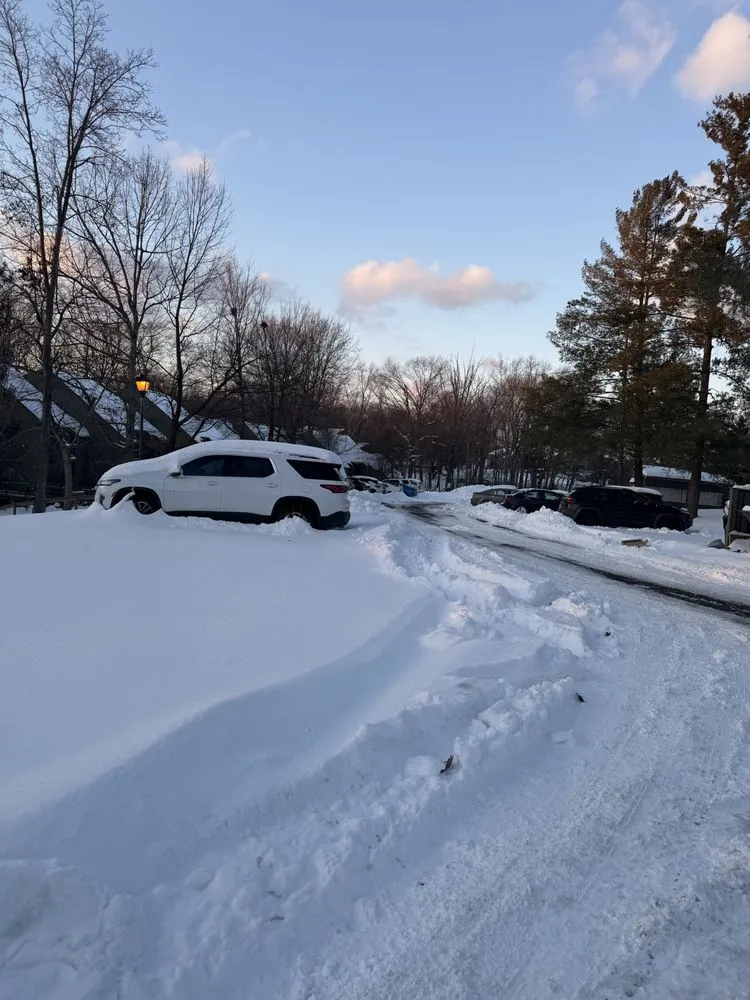 Custom yard cleanup service near you across Bedford, IN - Diamond Lawn Care & Excavating