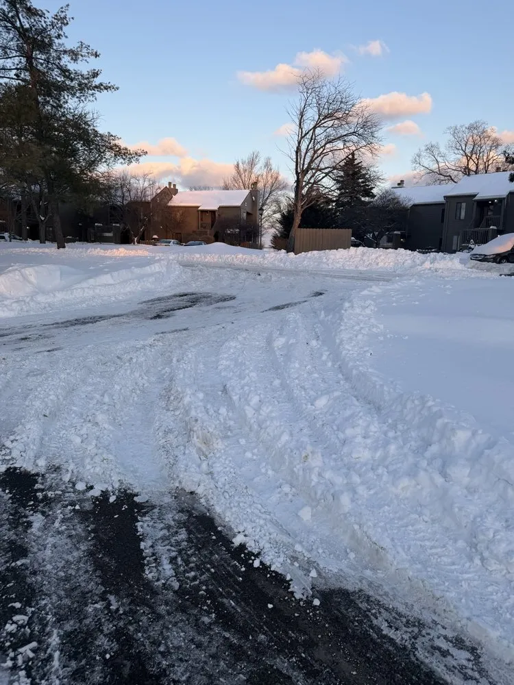 Professional yard cleanup service with custom design across Bedford, IN - Diamond Lawn Care & Excavating