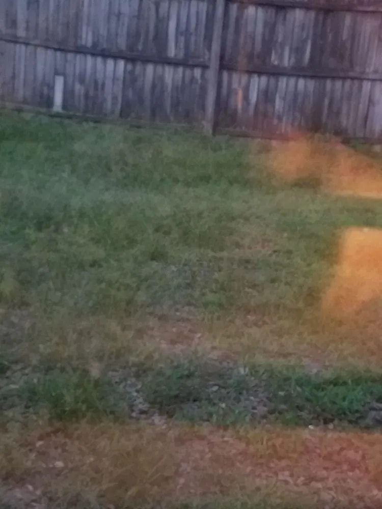 Reliable outdoor landscaping experts serving Orlando, FL - Diamond Lawn Care