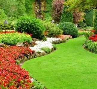 Top-rated landscape design in Orlando, FL - Diamond Lawn Care