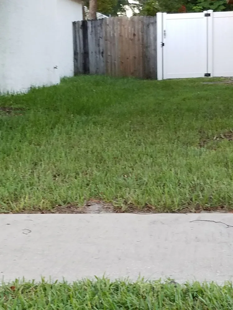 Expert outdoor landscaping for homes in Orlando, FL by Diamond Lawn Care