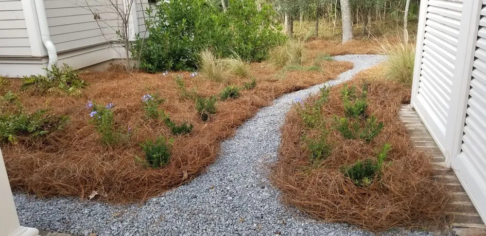 Expert landscaping services in Bluffton, SC by Diamond Lawn Care Services