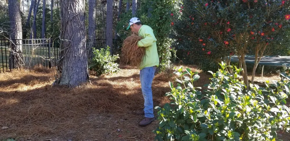 Custom landscaping services experts serving Bluffton, SC - Diamond Lawn Care Services