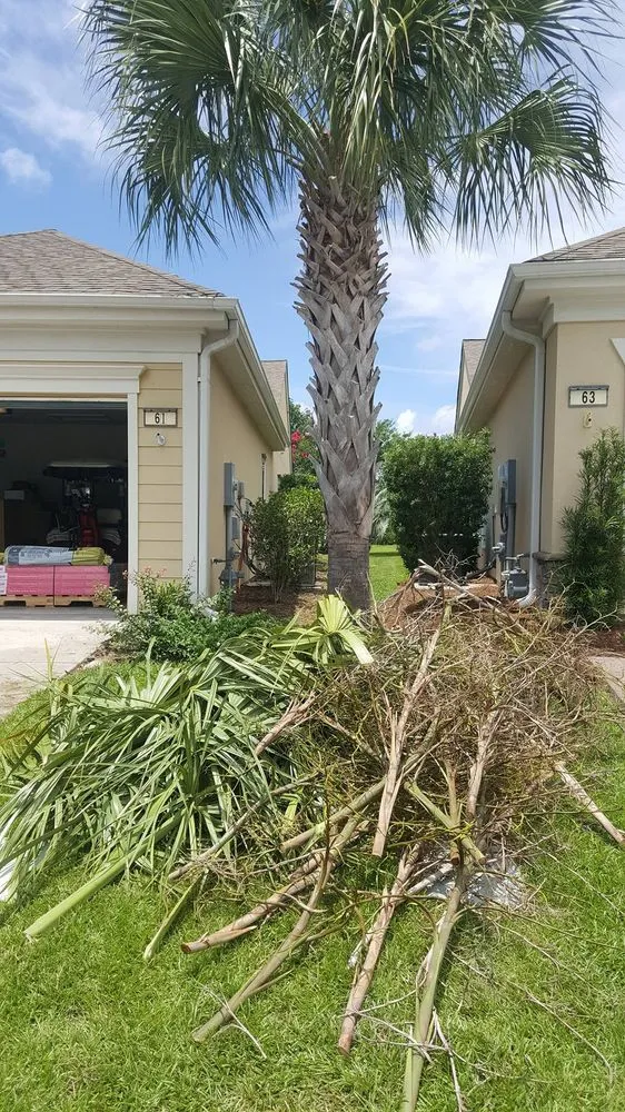 Affordable outdoor landscaping experts serving Bluffton, SC - Diamond Lawn Care Services