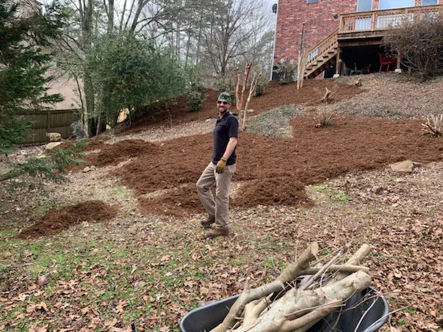 Affordable landscaping services for year-round maintenance in Conway, AR by Diamond Lawn