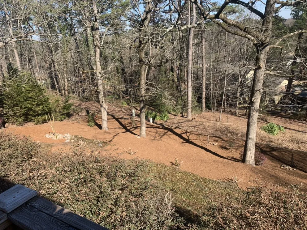 Reliable residential landscaping for residential properties in Conway, AR by Diamond Lawn