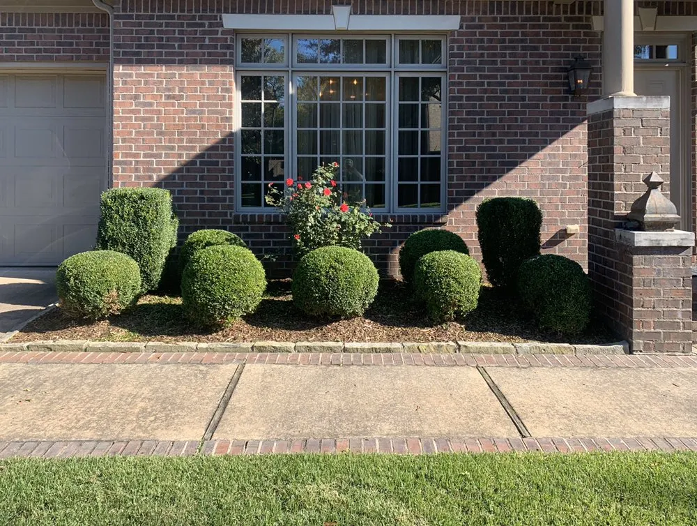 Custom landscape design near you across Conway, AR - Diamond Lawn