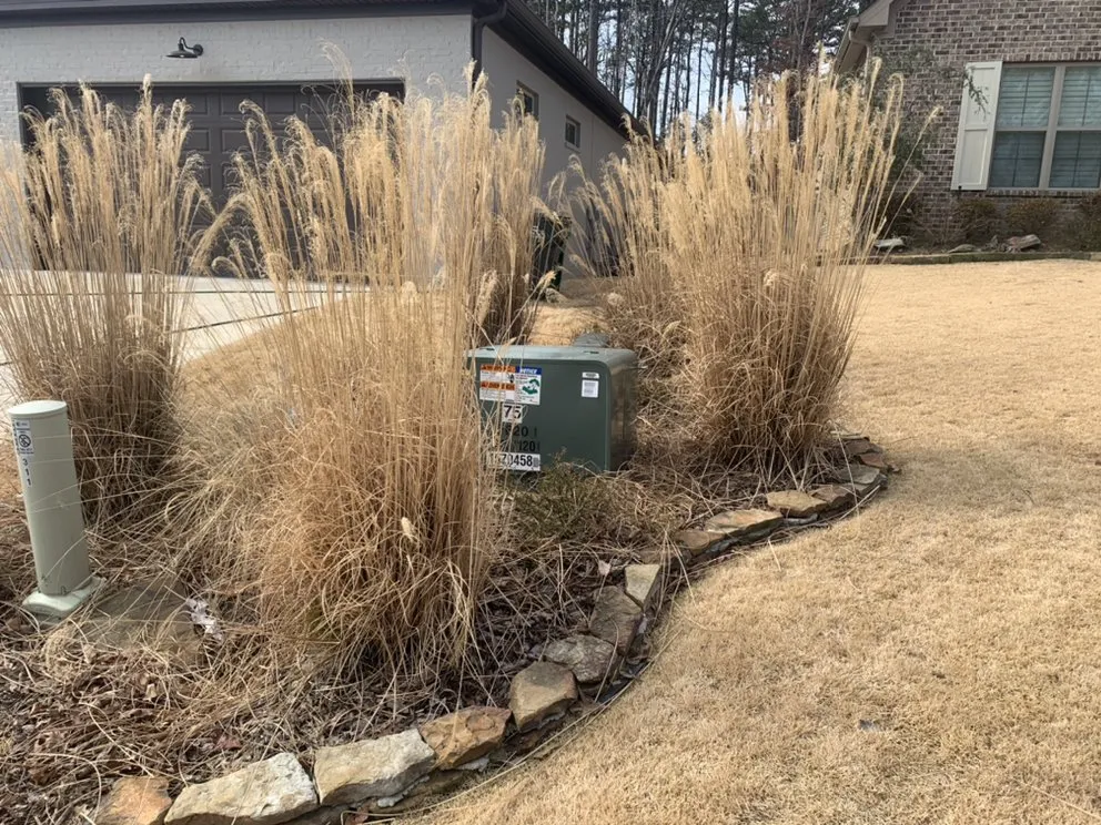 Trusted outdoor landscaping near you in Conway, AR by Diamond Lawn