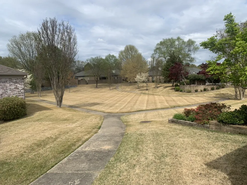 Local residential landscaping experts serving Conway, AR - Diamond Lawn