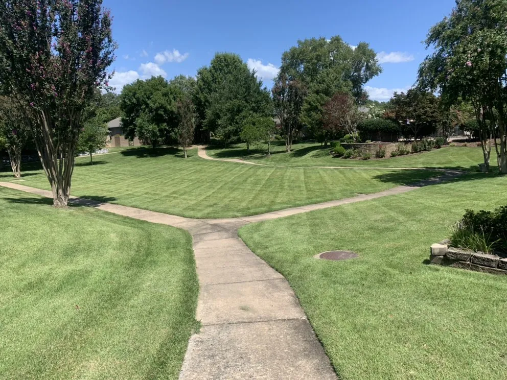 Top-rated lawn mowing service near you across Conway, AR - Diamond Lawn