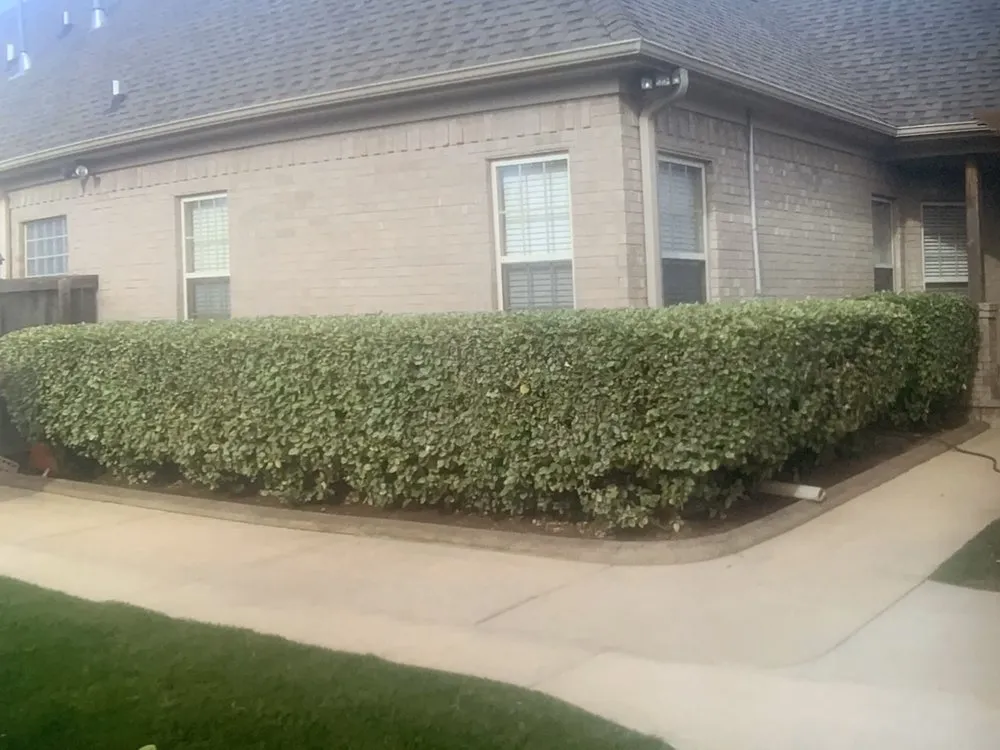 Expert garden landscaping for beautiful yards across Conway, AR - Diamond Lawn